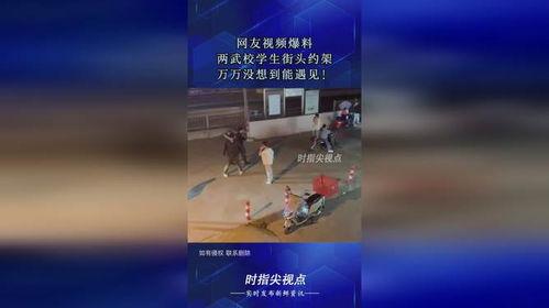 网友爆料学生犯法吗视频,法律边界与网络舆论的碰撞  第3张