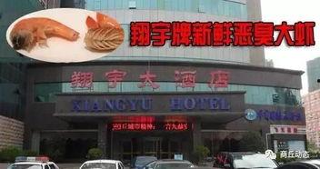 鑫禾饭店爆料视频,一场关于美食与真相的较量 第3张 鑫禾饭店爆料视频,一场关于美食与真相的较量 第3张