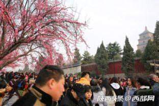 西安大雁塔人潮最新爆料,最新现场爆料揭秘 第3张 西安大雁塔人潮最新爆料,最新现场爆料揭秘 第3张